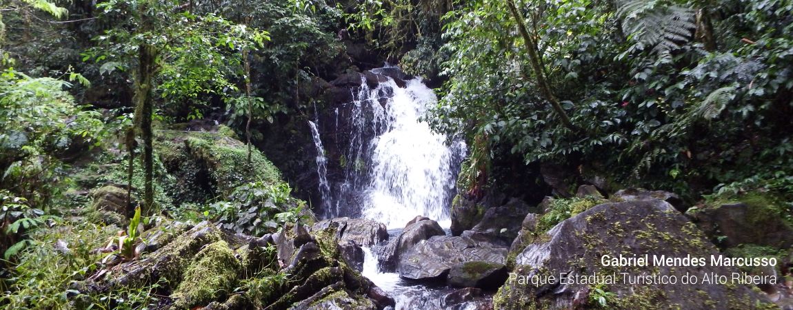 Parque Estadual Turístico do Alto Ribeira